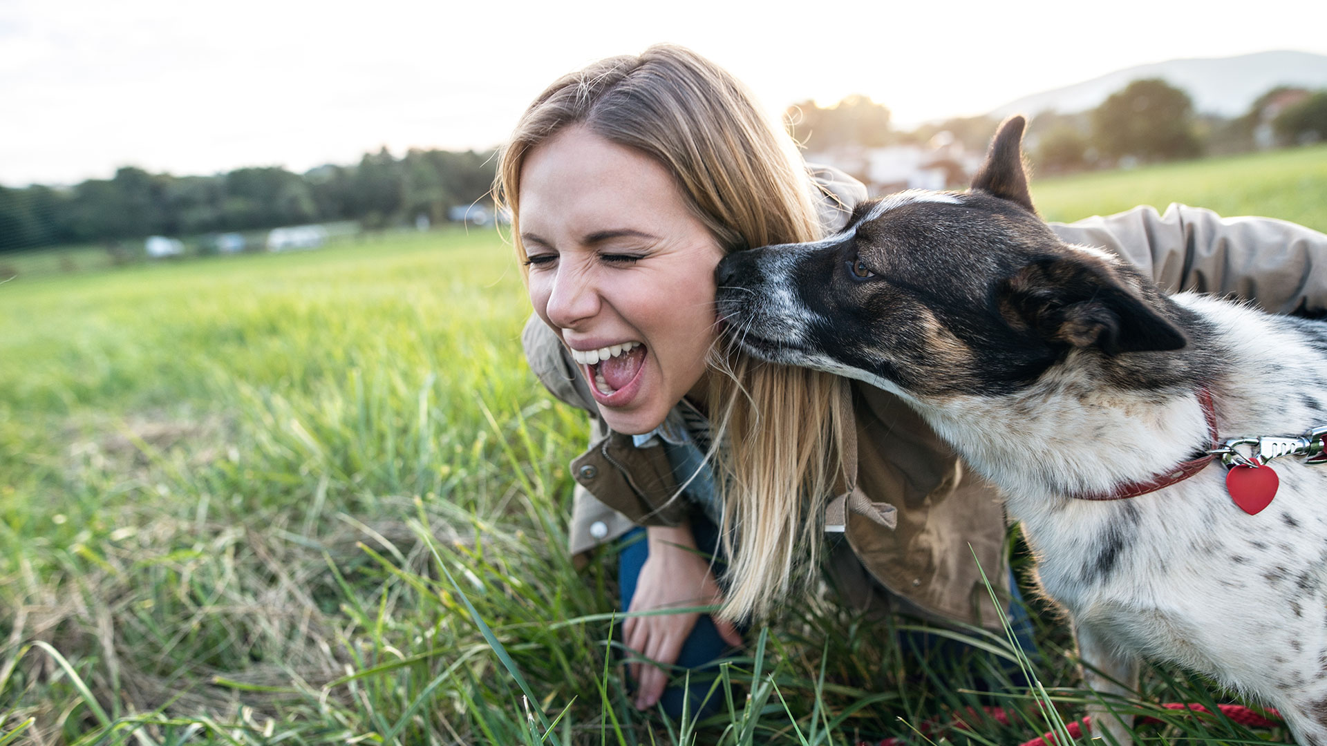 A woman gets smooches from her dog in a grassy field.